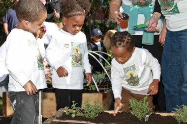 ac day nursery garden