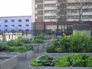 hope community garden