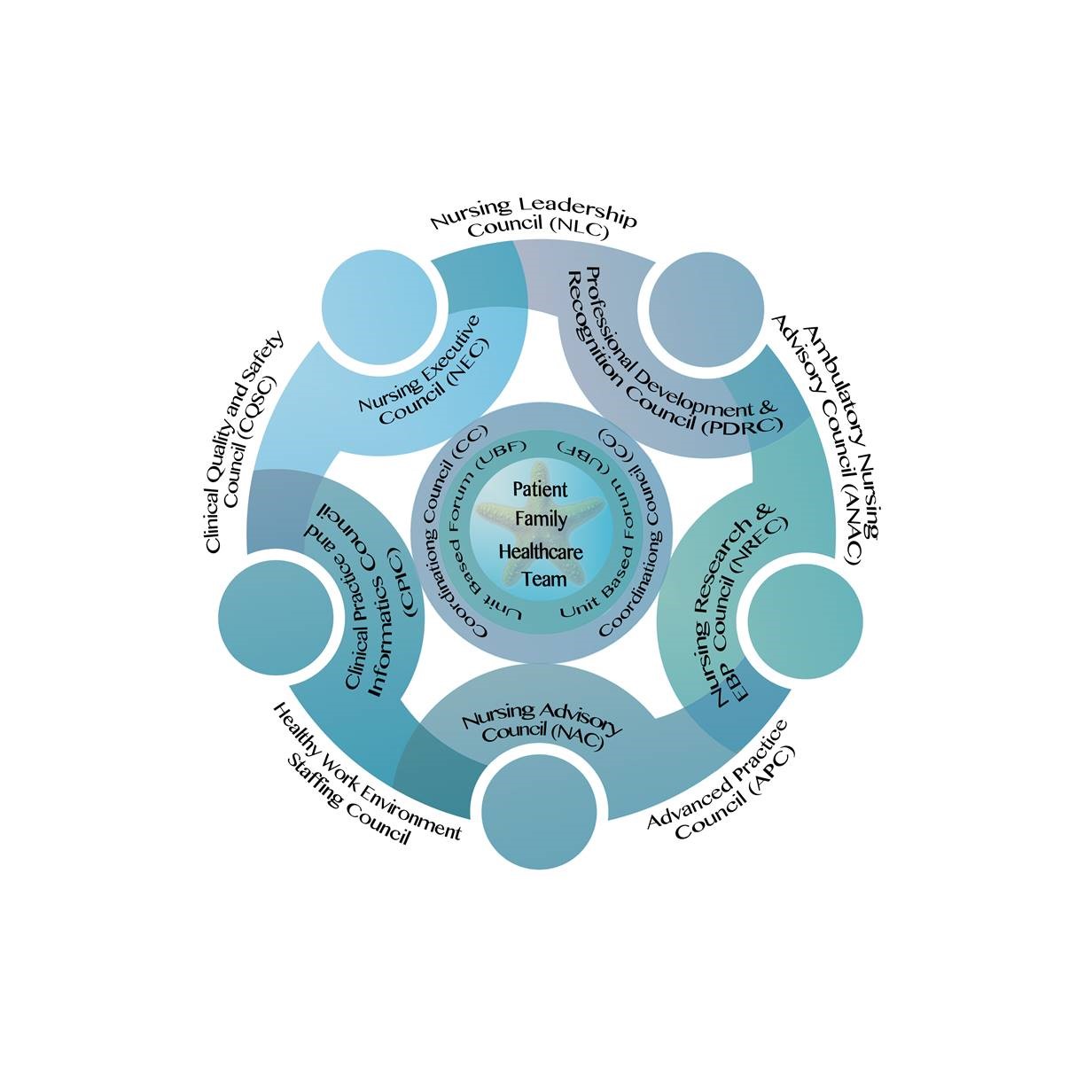 shared governance model